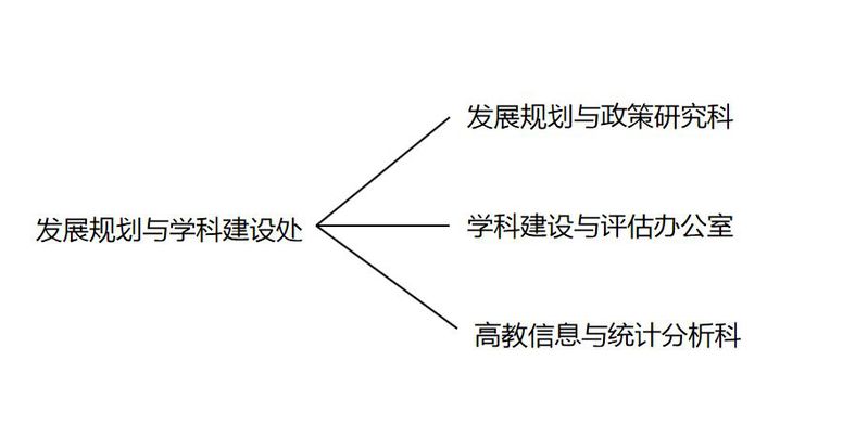 金尊棋牌app优惠活动下设发展规划与